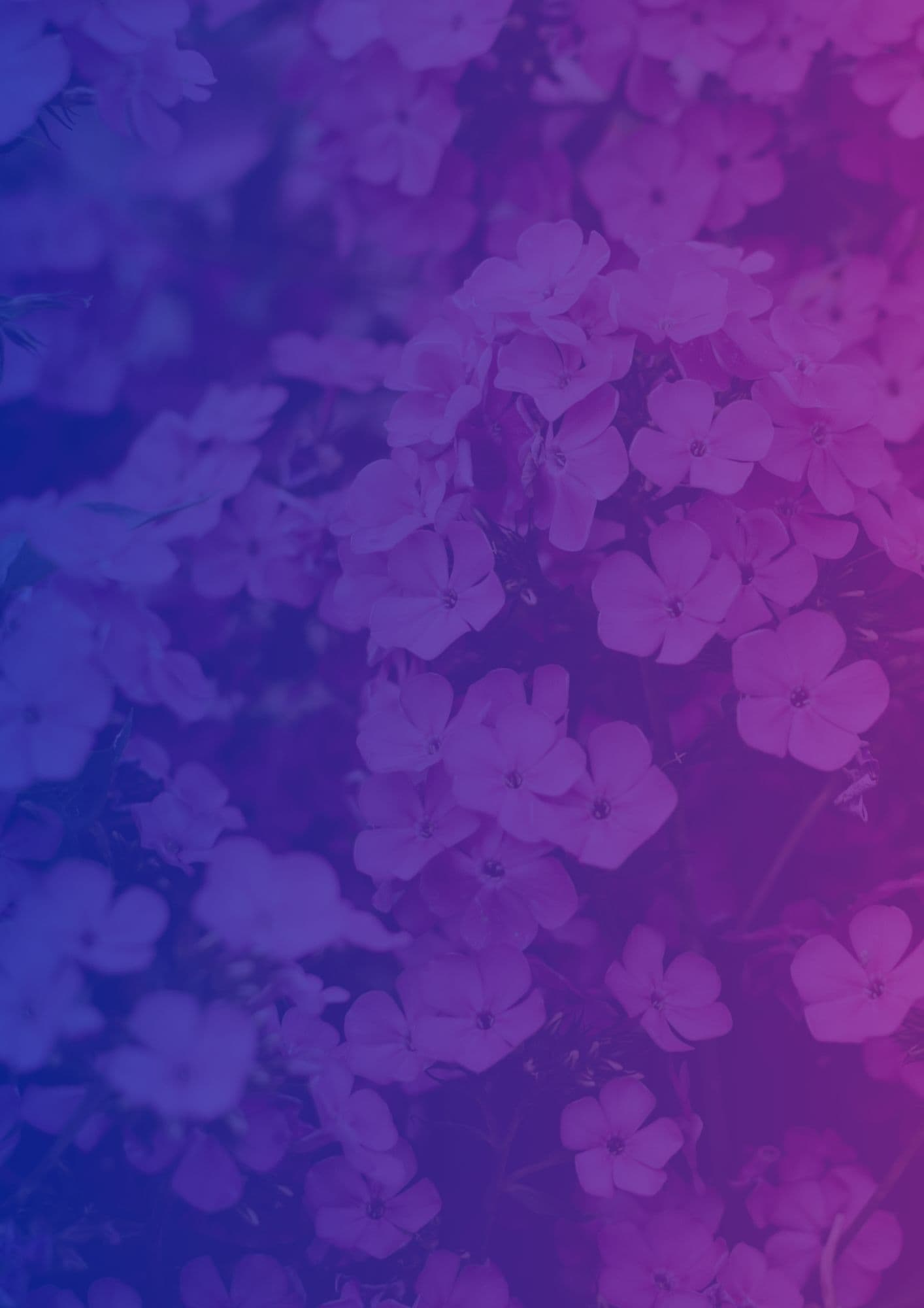Login Background